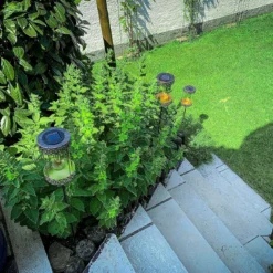 Solar Gartenleuchte, Solarlampe Retro, Solarleuchte Garten, Gartenlampe LED, Solarlampe Bronze, REV Solarlampe, Gartenbeleuchtung solar, LED Außenleuchte, Solarlampe mit Akku, Solar Garten Deko, Retro Gartenlampe, Solarleuchte Terrasse, wetterfeste Solarlampe, Solar Licht Garten, Solarlampe für Außen