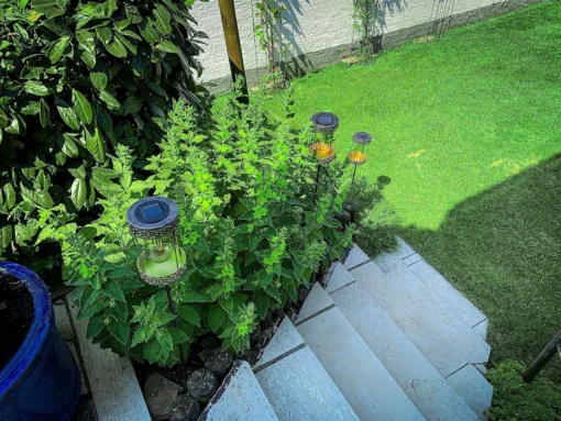 Solar Gartenleuchte, Solarlampe Retro, Solarleuchte Garten, Gartenlampe LED, Solarlampe Bronze, REV Solarlampe, Gartenbeleuchtung solar, LED Außenleuchte, Solarlampe mit Akku, Solar Garten Deko, Retro Gartenlampe, Solarleuchte Terrasse, wetterfeste Solarlampe, Solar Licht Garten, Solarlampe für Außen